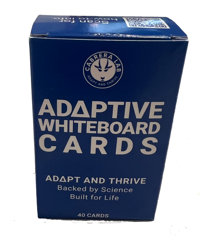 Systems Thinking Whiteboard Cards