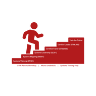 Systems Leadership 301 (SL301) (online skills course)